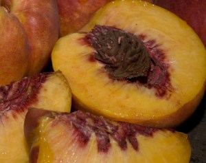 Fantasia Nectarine